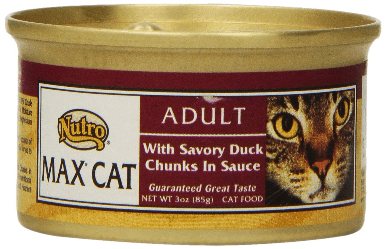 The Best Cat Food for Hyperthyroidism OliveKnows