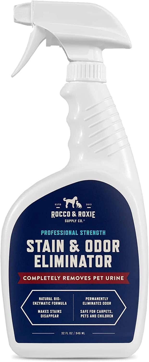 Best Cleaner for Cat Urine OliveKnows