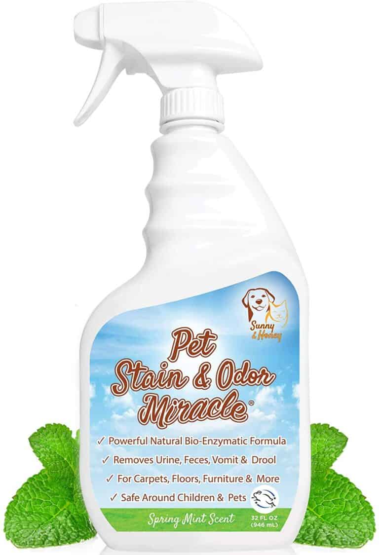 Best Cleaner for Cat Urine OliveKnows