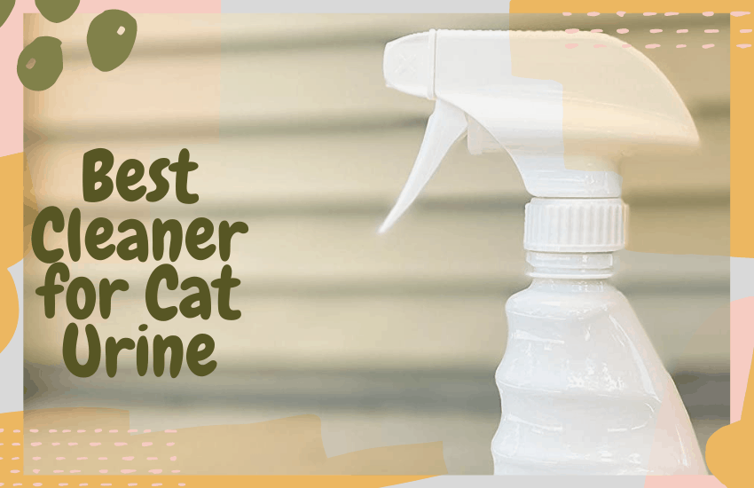 Best Cleaner for Cat Urine