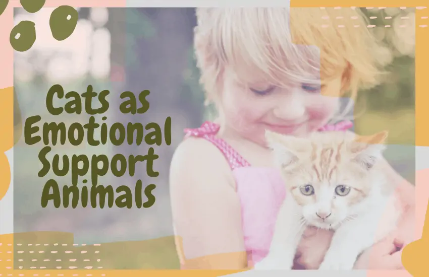 Cats as Emotional Support Animals