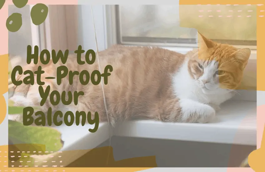 How to Cat-Proof Your Balcony