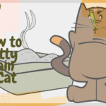 How to Potty Train a Cat