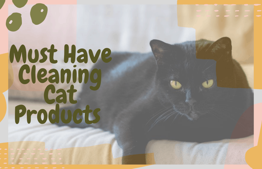 Must Have Cleaning Cat Products 