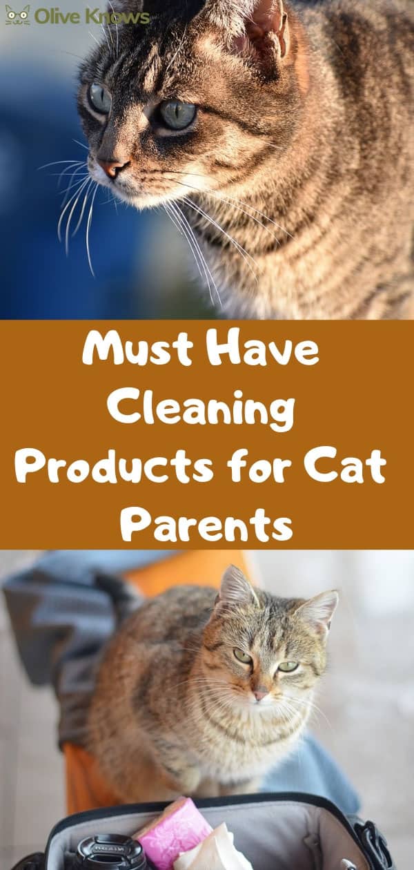 Must Have Cleaning Products for Cat Parents