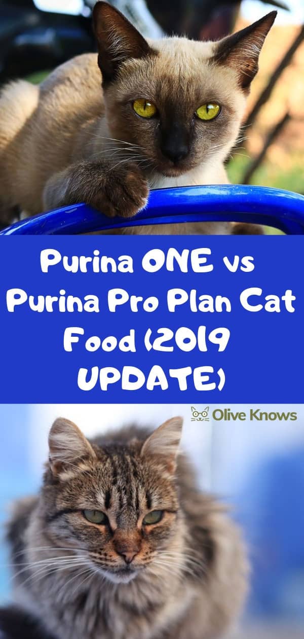 Purina Pro Plan vs Purina One Cat Food