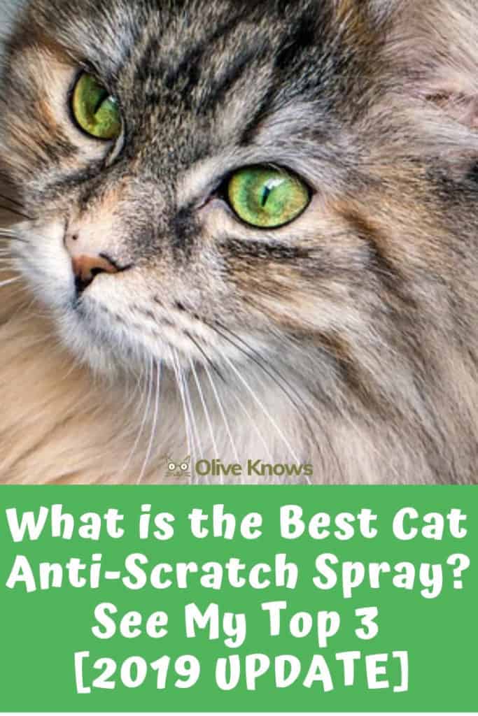 What is the Best Cat Anti Scratch Spray? My Top 3 [2022 UPDATE