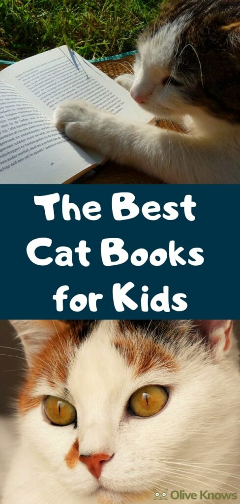 The Best Cat Books for Kids