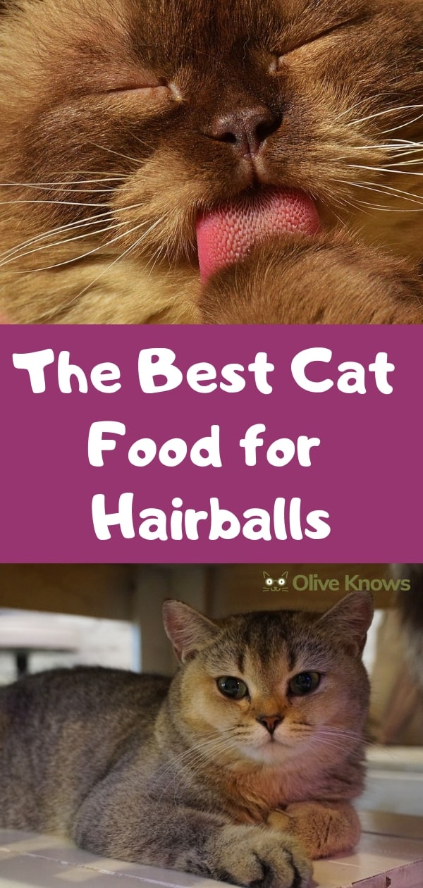 Best Cat Food for Hairballs