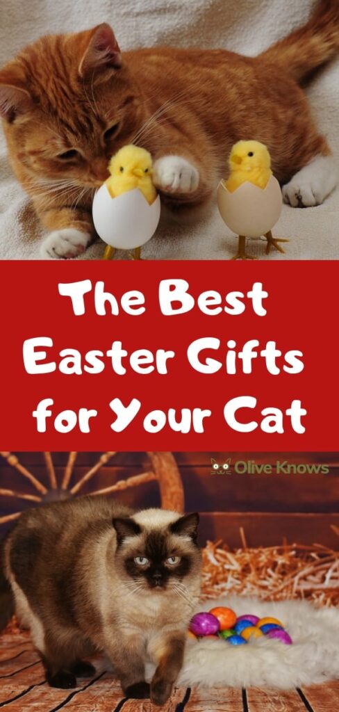 The Best Easter Gifts for Your Cat