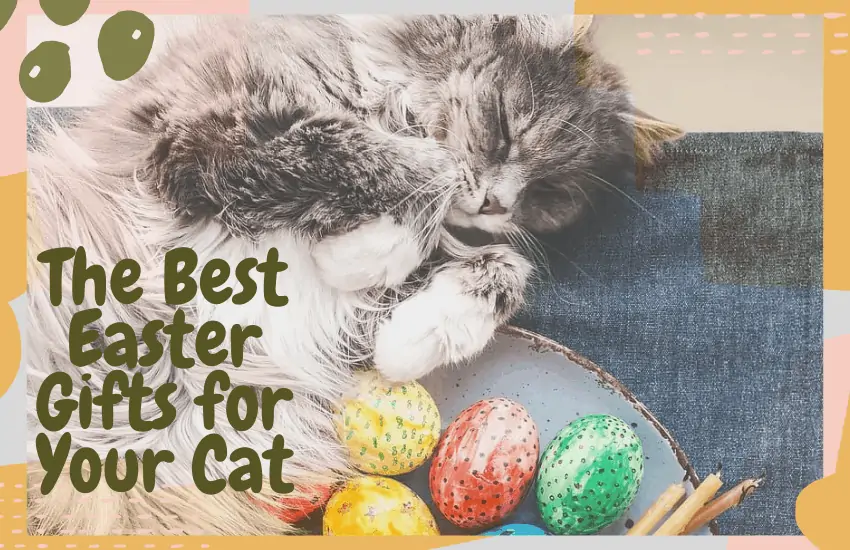 The Best Easter Gifts for Your Cat