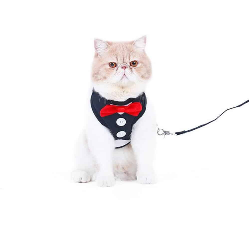 dexil cat harness