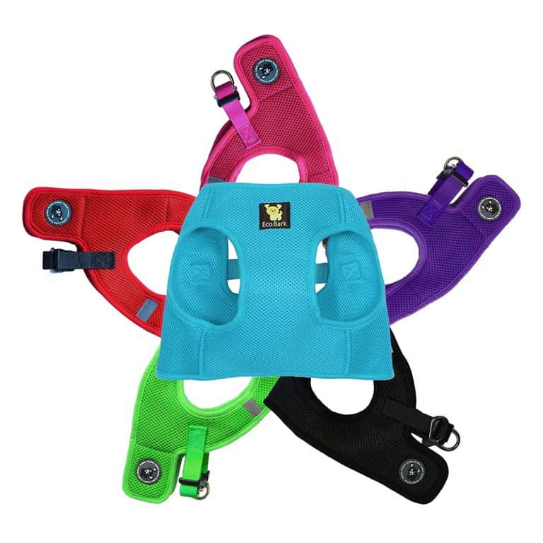 The Best Cat Harness that Your Cat Will Love OliveKnows