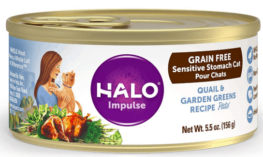 Best Cat Food for Sensitive Stomachs Your Cat Needs - OliveKnows