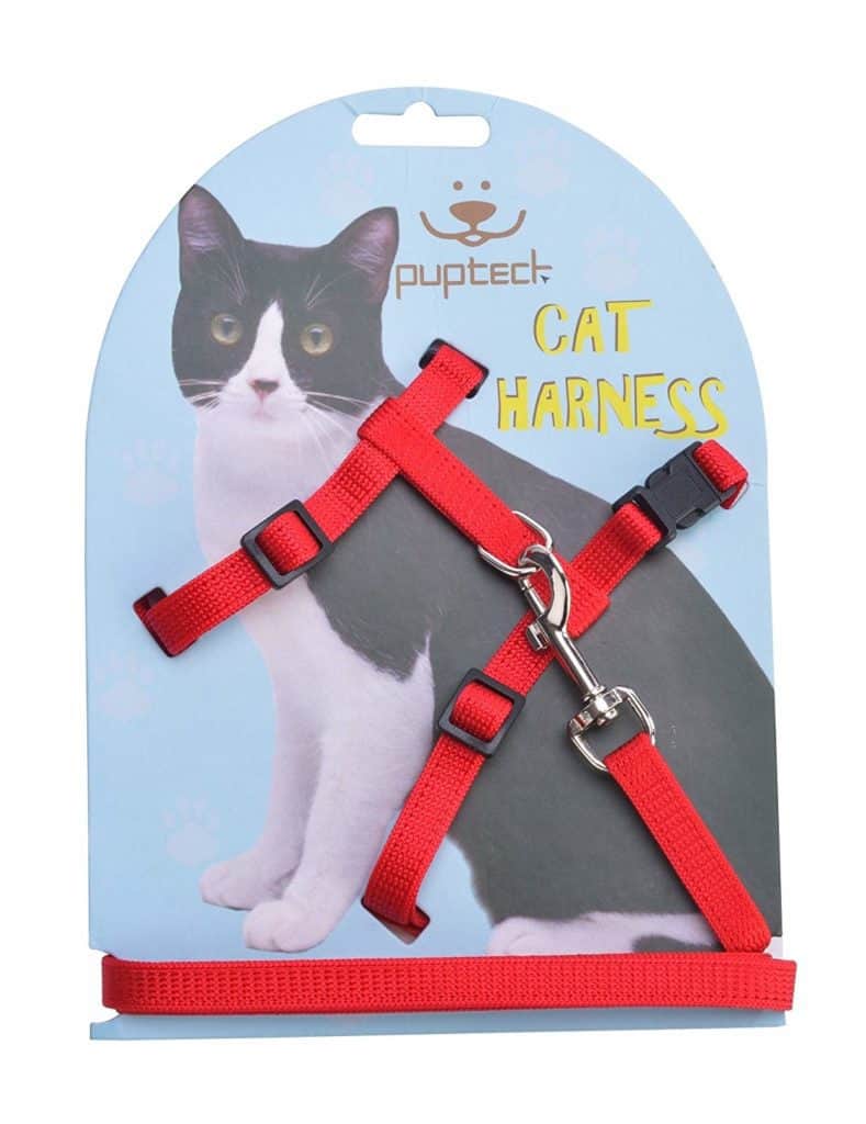 The Best Cat Harness that Your Cat Will Love - OliveKnows