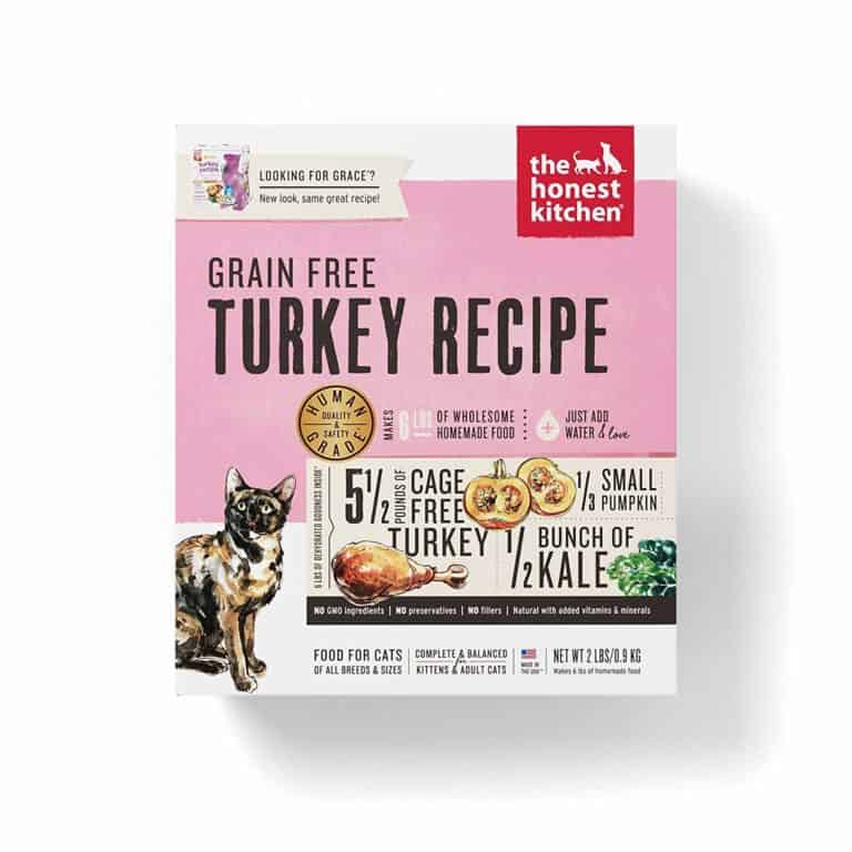 Best Kitten Food for Your Little Feline 2022 Edition OliveKnows