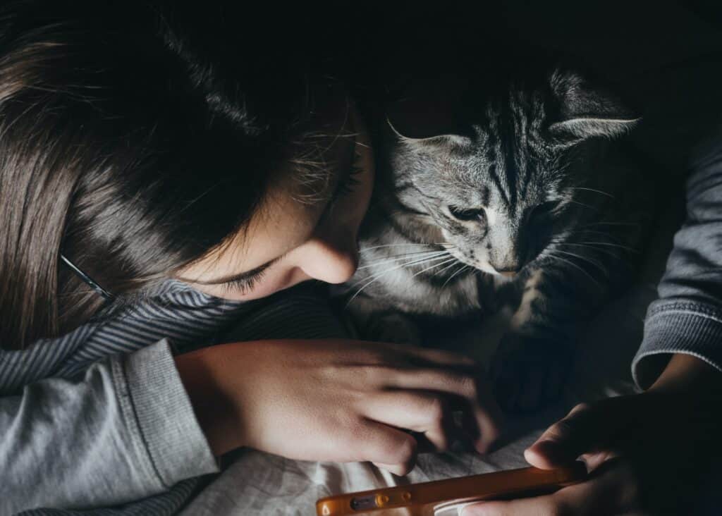 cat watching videos with owner