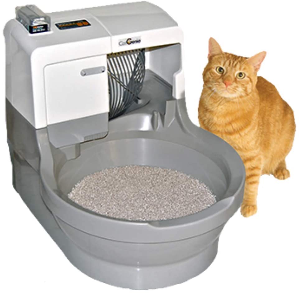 Litter Box