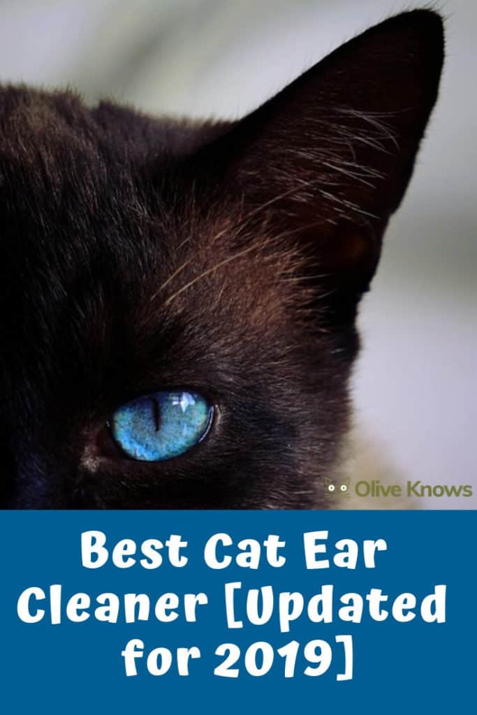 Best Cat Ear Cleaner [Updated for 2022] OliveKnows