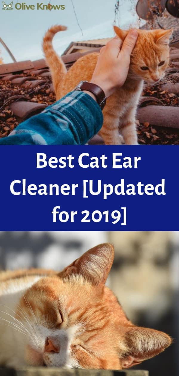 Best Cat Ear Cleaner