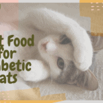 Best Food for Diabetic Cats