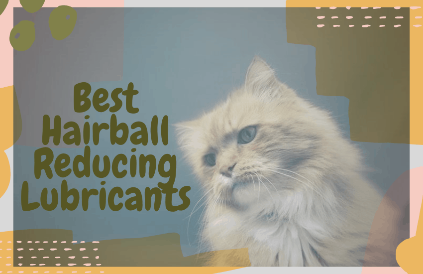 Best Hairball Reducing Lubricants