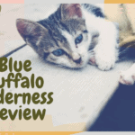 Blue Buffalo Wilderness Review