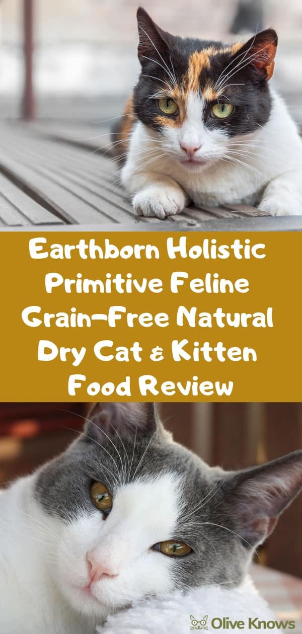 Earthborn Holistic Primitive Feline