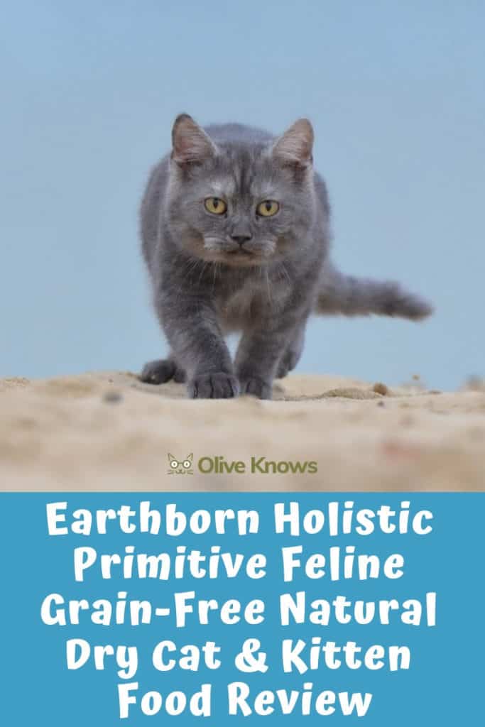 Earthborn Holistic Primitive Feline GrainFree Natural Dry Cat & Kitten