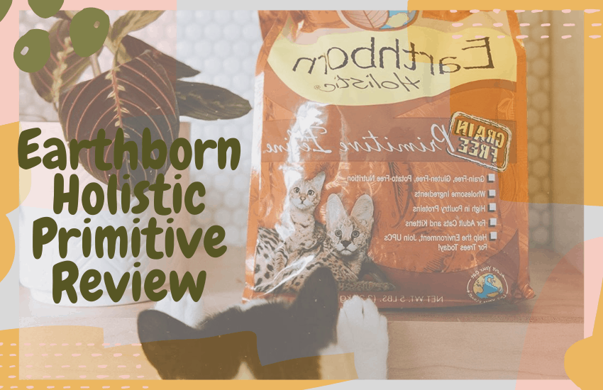 Earthborn Holistic Primitive Review