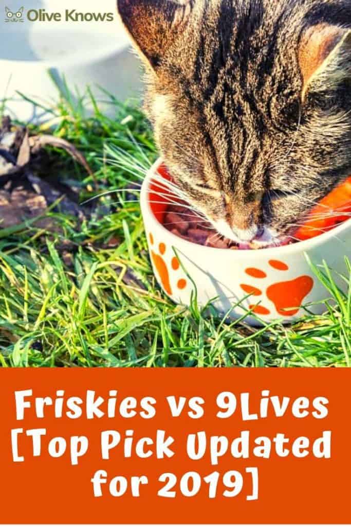 9 Lives vs Friskies [UPDATED 2022] Which is Better? OliveKnows