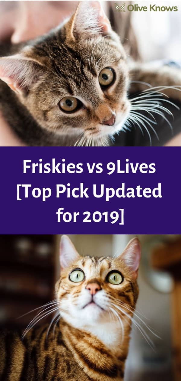 9 Lives vs Friskies