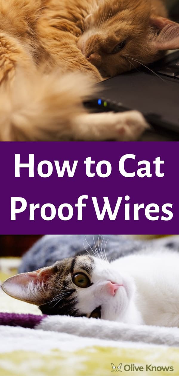 How to Cat Proof Wires