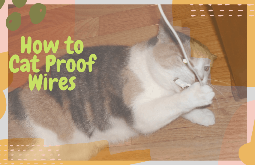 How to Cat Proof Wires