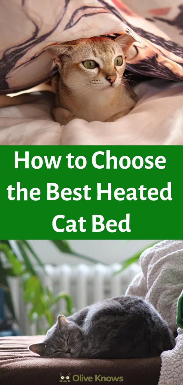 best self warming cat bed