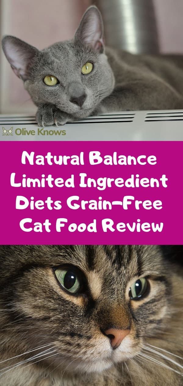 Natural Balance Limited Ingredient Diets Grain-Free Cat Food Review