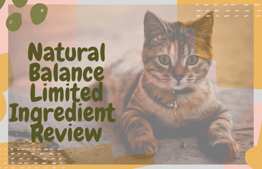 Natural Balance Limited Ingredient Review