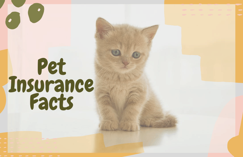 Pet Insurance Facts