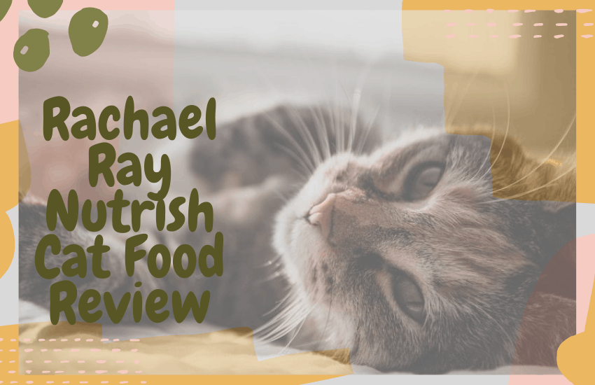 Rachael Ray Nutrish Cat Food Review