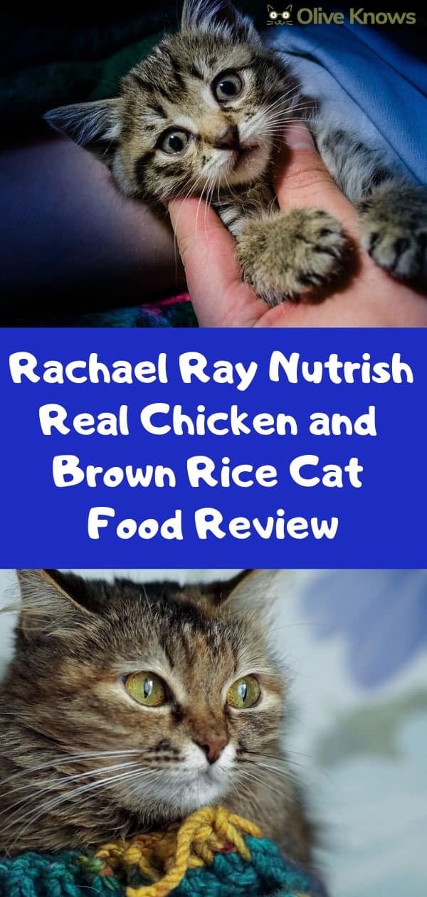 Rachael Ray Nutrish Real Chicken and Brown Rice Cat Food Review