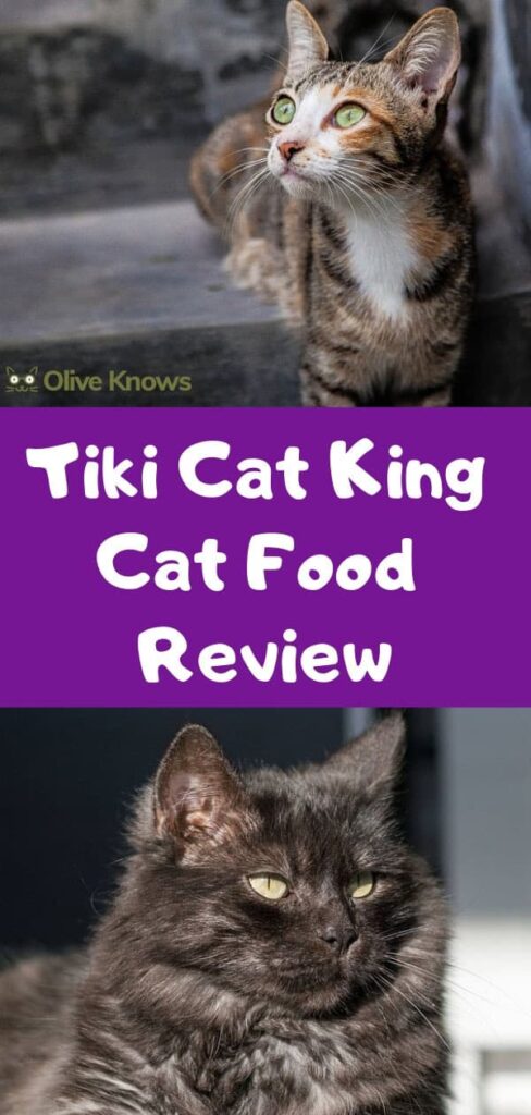 Tiki Cat King Cat Food Review - OliveKnows