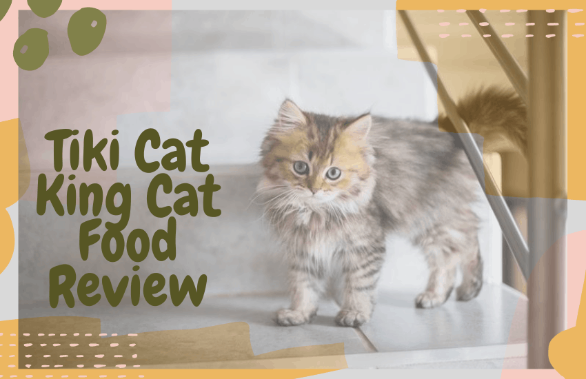 Tiki Cat King Cat Food Review