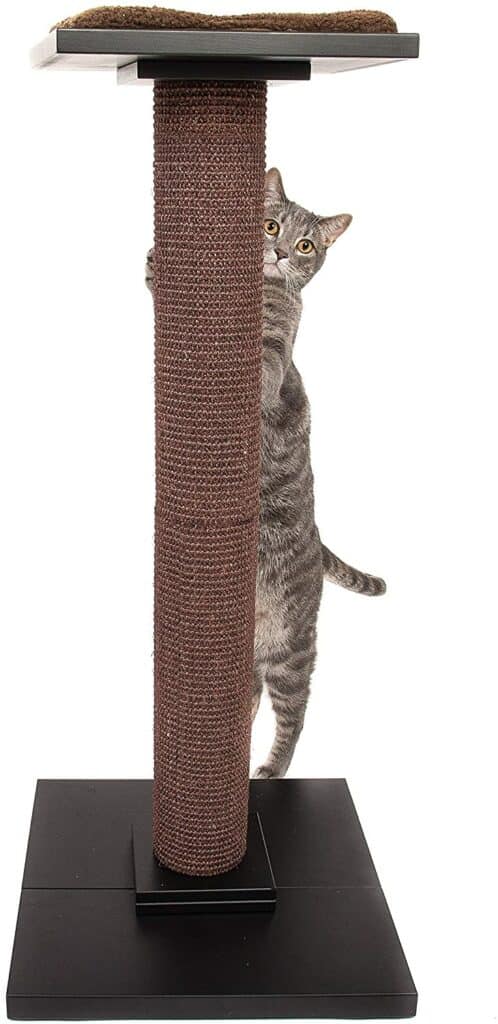 Ultimate Cat Scratching Post