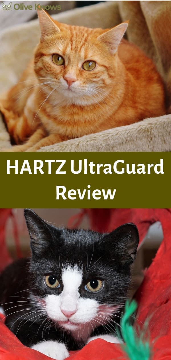 HARTZ UltraGuard Review