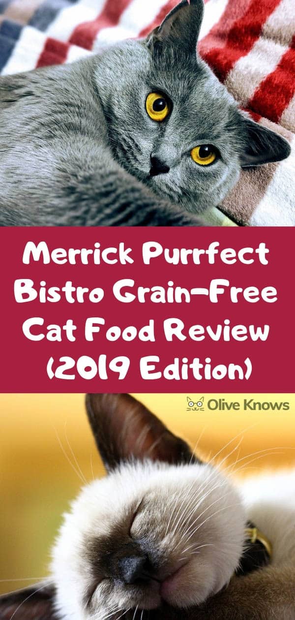 Merrick Purrfect Bistro Grain Free Cat Food Review 2021 Edition Oliveknows