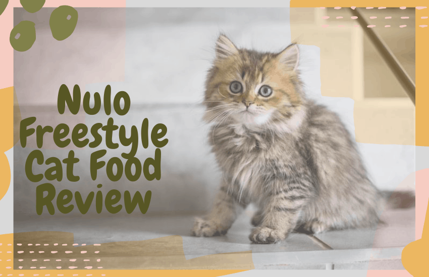 Nulo Freestyle Cat Food Review