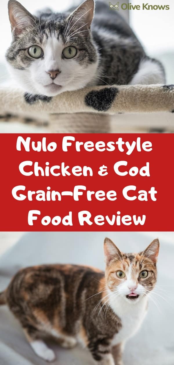 Nulo Freestyle Chicken & Cod Grain-Free Cat Food Review