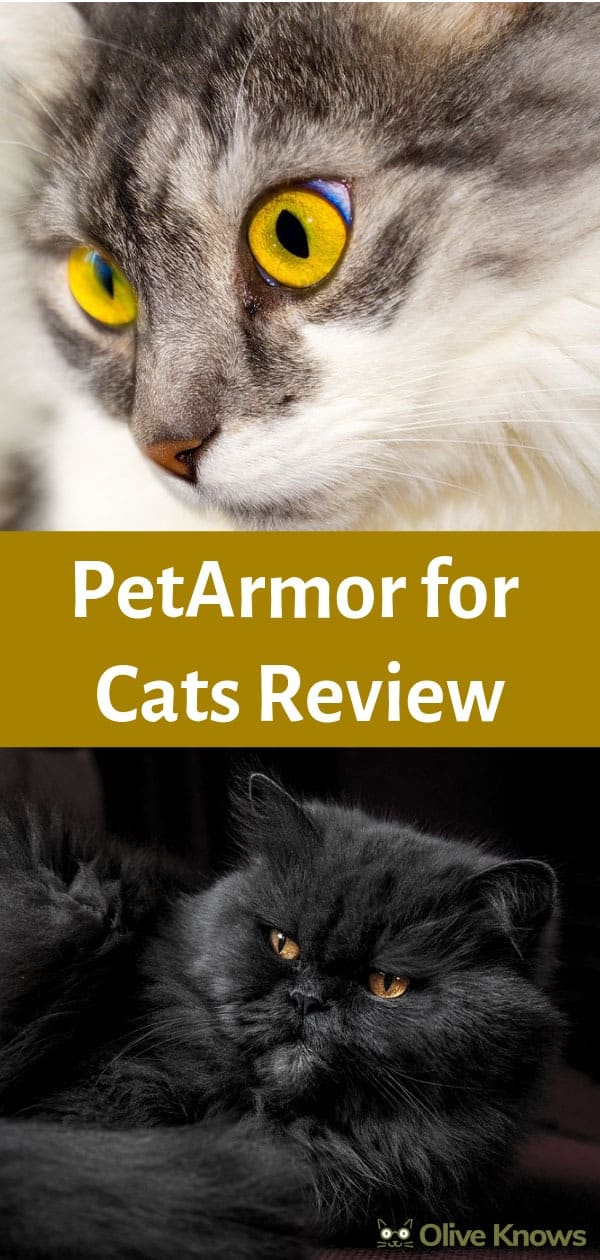 PetArmor for Cats Review