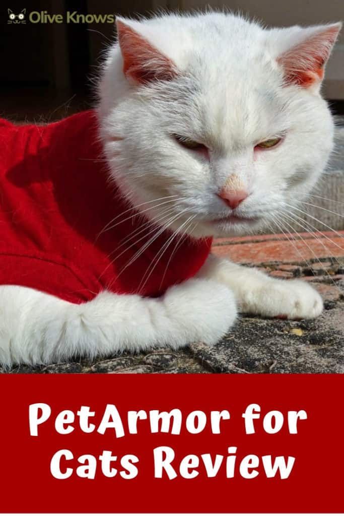 PetArmor for Cats Review OliveKnows