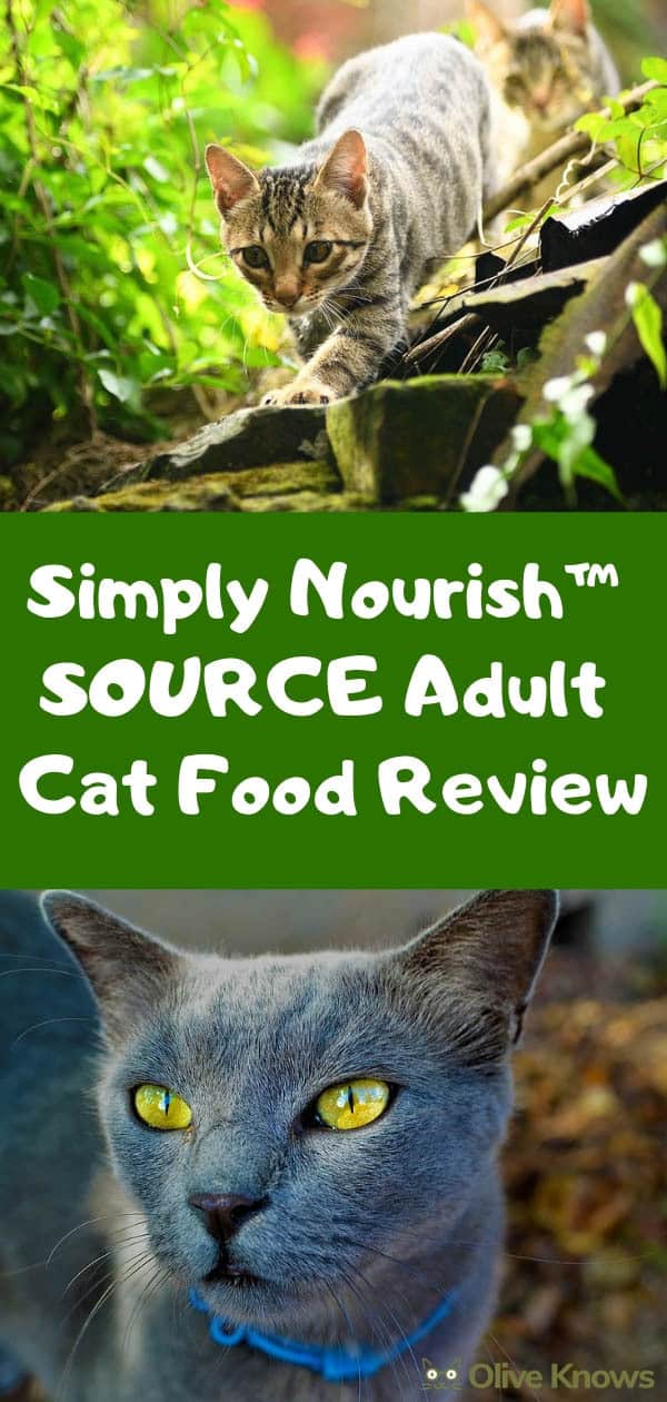 Simply Nourish™ SOURCE Adult Cat Food Review | OliveKnows